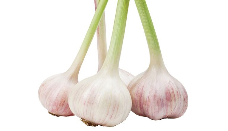 Clean Forte contains a natural immunostimulant - garlic