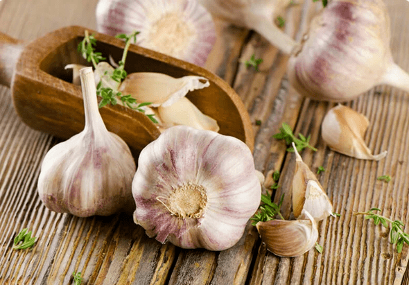 Garlic from the worm