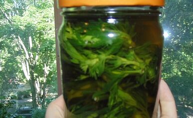 Plant tincture to remove parasites from the body